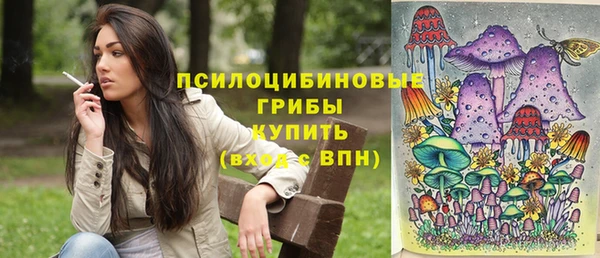 шишки Бугульма