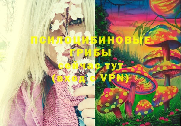 прущие крисы Богданович