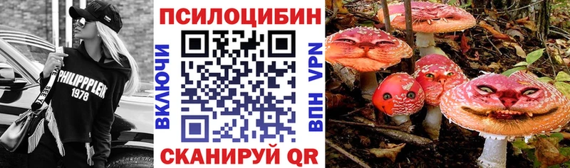 Галлюциногенные грибы Psilocybe Данков